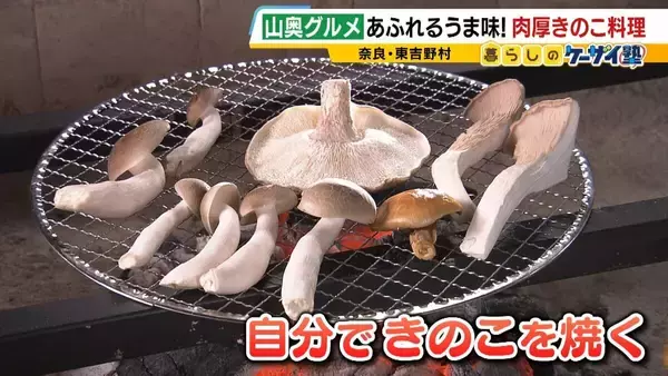 「【わざわざ行きたい！山奥グルメ】先代との「きのこ談義」きっかけに客が跡継ぎに！？自分で焼いて食べる「肉厚きのこ」が魅力の店　京都市内とは思えない自然の中にポツンと佇む…新鮮な山菜料理が大好評のログハウスカフェ【第3弾】」の画像