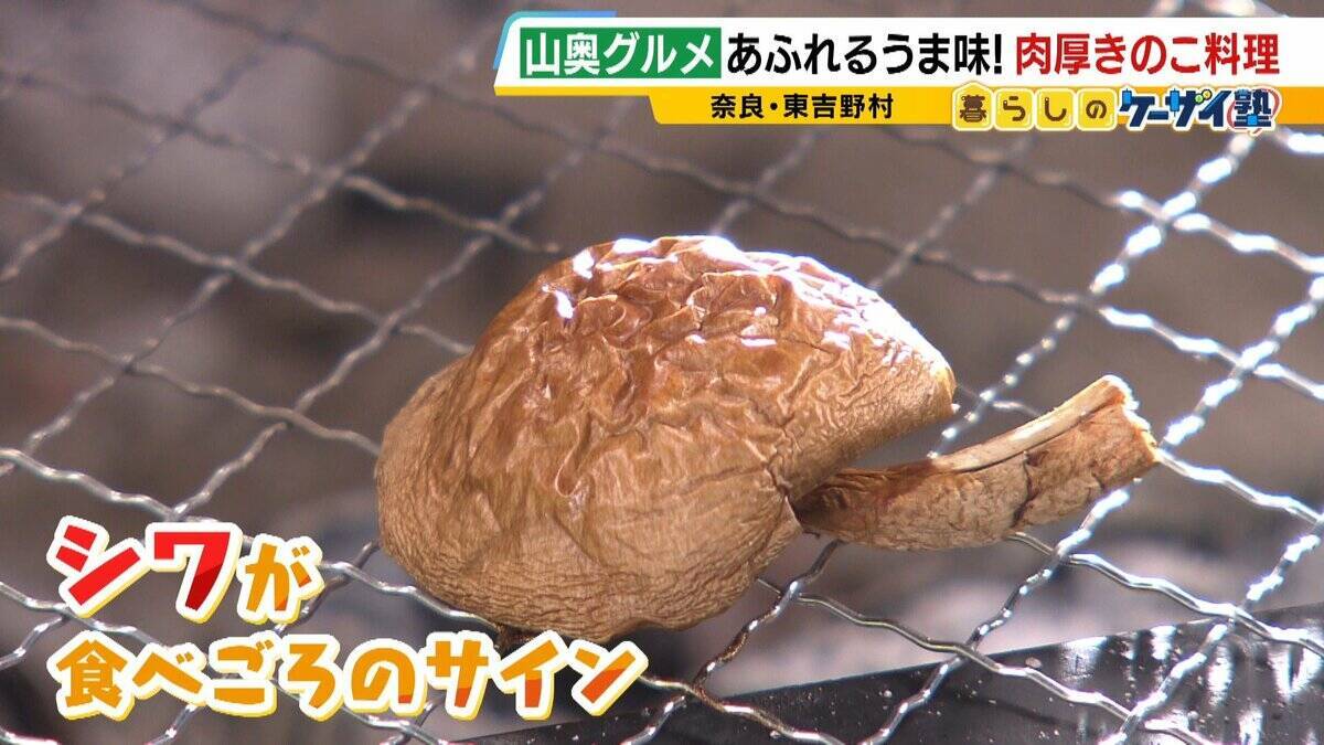 【わざわざ行きたい！山奥グルメ】先代との「きのこ談義」きっかけに客が跡継ぎに！？自分で焼いて食べる「肉厚きのこ」が魅力の店　京都市内とは思えない自然の中にポツンと佇む…新鮮な山菜料理が大好評のログハウスカフェ【第3弾】