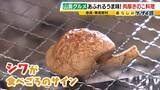 「【わざわざ行きたい！山奥グルメ】先代との「きのこ談義」きっかけに客が跡継ぎに！？自分で焼いて食べる「肉厚きのこ」が魅力の店　京都市内とは思えない自然の中にポツンと佇む…新鮮な山菜料理が大好評のログハウスカフェ【第3弾】」の画像6