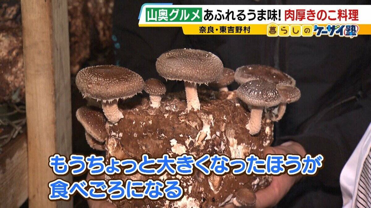 【わざわざ行きたい！山奥グルメ】先代との「きのこ談義」きっかけに客が跡継ぎに！？自分で焼いて食べる「肉厚きのこ」が魅力の店　京都市内とは思えない自然の中にポツンと佇む…新鮮な山菜料理が大好評のログハウスカフェ【第3弾】