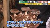 「【わざわざ行きたい！山奥グルメ】先代との「きのこ談義」きっかけに客が跡継ぎに！？自分で焼いて食べる「肉厚きのこ」が魅力の店　京都市内とは思えない自然の中にポツンと佇む…新鮮な山菜料理が大好評のログハウスカフェ【第3弾】」の画像7