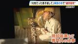 「【見えない“海外過労死”】赴任先のタイで『最大約150時間の時間外労働』など苦に息子が自死「同じ苦しみ、誰にも経験してほしくない」悲劇繰り返さぬため…遺族と企業で“画期的”な動き」の画像2