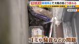 「【特区民泊】新規の受付は停止も『新法民泊』が“抜け穴”に？『年間営業日数１８０日以内』は守られるのか…大阪市は「適切に監視・指導していく」」の画像2