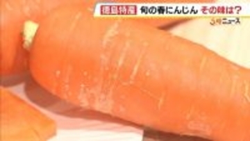 「水分がすごく甘い」徳島特産“春ニンジン”が出荷ピーク　寒暖差で甘さが増す　室温約50度のハウスで栽培