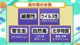 「週末は暑く…17日(日)には「真夏日」予想の地域も？気温上昇のこの季節“食中毒”に要注意！　症状が出たら下痢止めの使用はNG？薬剤師でもある気象予報士が「予防の3原則」解説」の画像1