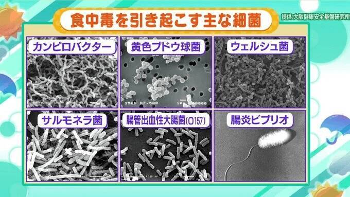 週末は暑く…17日(日)には「真夏日」予想の地域も？気温上昇のこの季節“食中毒”に要注意！　症状が出たら下痢止めの使用はNG？薬剤師でもある気象予報士が「予防の3原則」解説