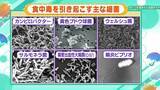 「週末は暑く…17日(日)には「真夏日」予想の地域も？気温上昇のこの季節“食中毒”に要注意！　症状が出たら下痢止めの使用はNG？薬剤師でもある気象予報士が「予防の3原則」解説」の画像3