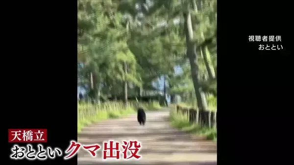 【関西でクマ相次ぐ】天野立でまた目撃情報…2日前には「海を泳ぐクマ」駆除　神戸市内でも初の出没確認　いま何が？