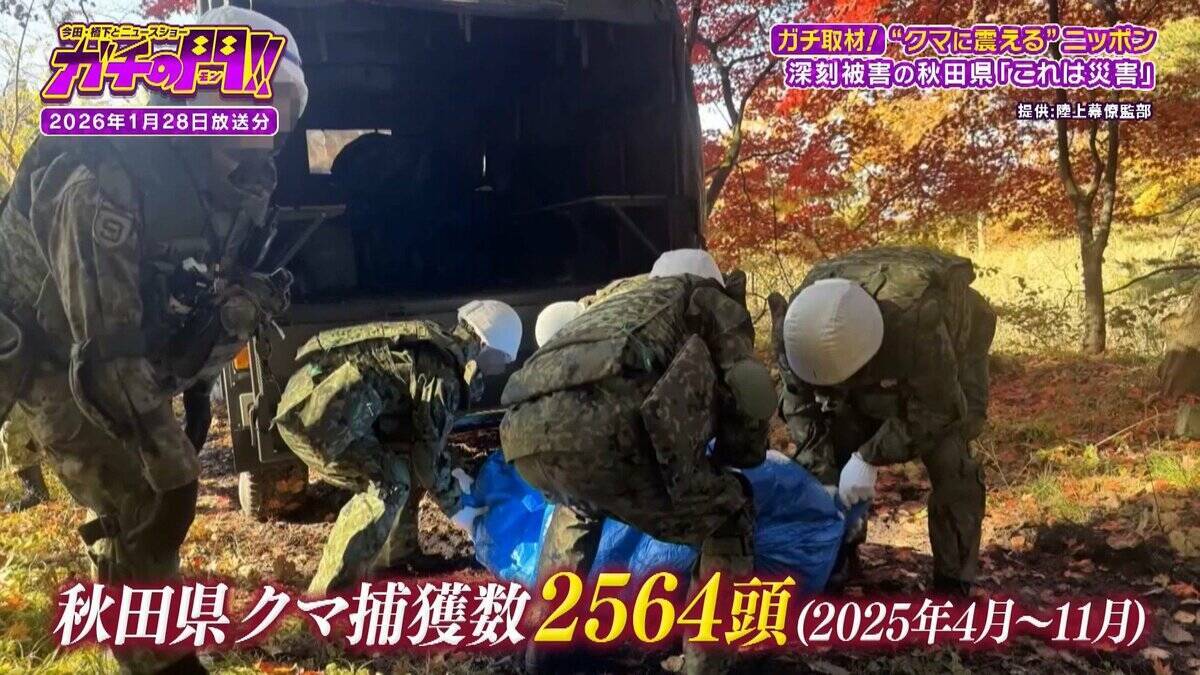 【秋田のクマ被害】記者が故郷で見た『異常な日常』思い出の公園・見慣れた通学路…街中に漂うクマの気配「昔じゃ絶対ありえない」【ガチの門】