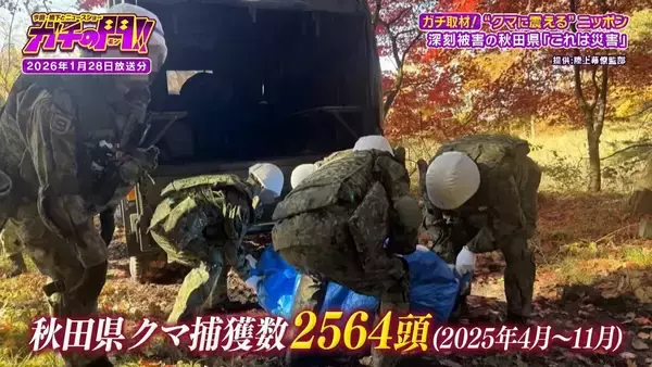 「【秋田のクマ被害】記者が故郷で見た『異常な日常』思い出の公園・見慣れた通学路…街中に漂うクマの気配「昔じゃ絶対ありえない」【ガチの門】」の画像