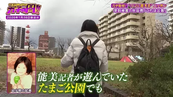 「【秋田のクマ被害】記者が故郷で見た『異常な日常』思い出の公園・見慣れた通学路…街中に漂うクマの気配「昔じゃ絶対ありえない」【ガチの門】」の画像