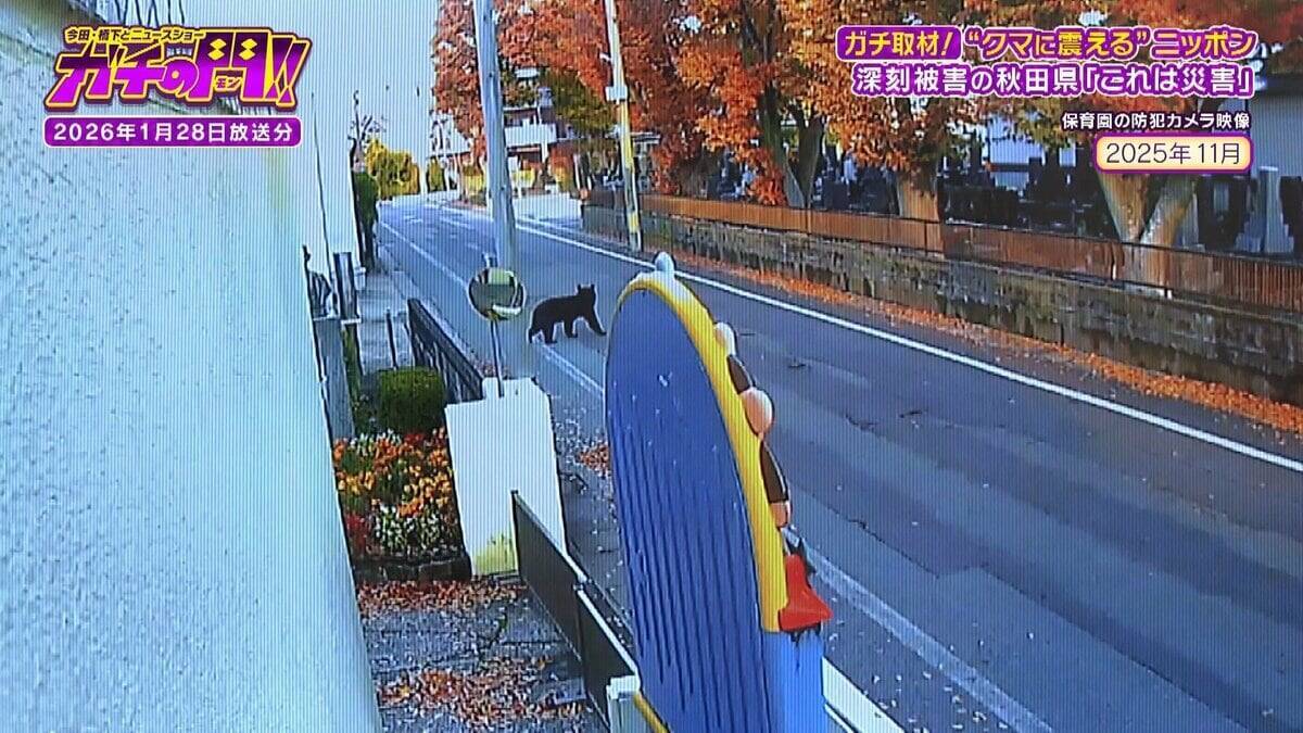 【秋田のクマ被害】記者が故郷で見た『異常な日常』思い出の公園・見慣れた通学路…街中に漂うクマの気配「昔じゃ絶対ありえない」【ガチの門】