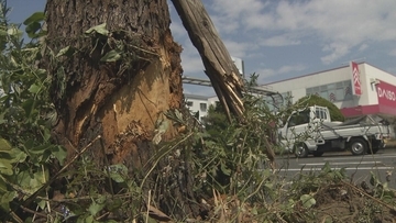 【速報】飲酒運転し車に衝突　はずみで歩行者もはね…危険運転傷害容疑で29歳男を逮捕　先月の法改正後 大阪府警では初の現行犯逮捕　大阪・堺市