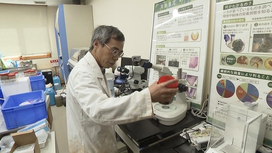クマに襲われかけたことも…「フン拾い調査」で判明　クマの主食、実は「ドングリ」ではなかった？　兵庫県立大学研究チームが国内初の研究結果を発表　兵庫～京都北部のツキノワグマ　秋は「液果類」が主食
