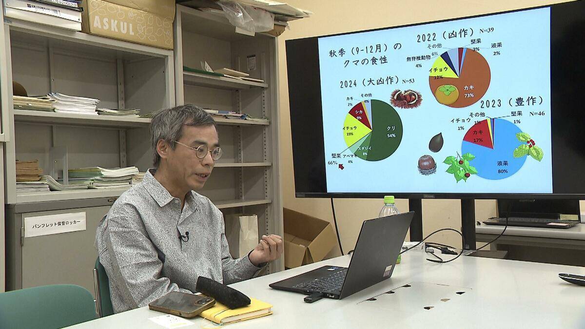 クマに襲われかけたことも…「フン拾い調査」で判明　クマの主食、実は「ドングリ」ではなかった？　兵庫県立大学研究チームが国内初の研究結果を発表　兵庫～京都北部のツキノワグマ　秋は「液果類」が主食