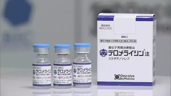 世界初・食道がんの「ウイルス治療薬」販売開始　口から直接注射しがん細胞を破壊　保険適用も３回で約９３０万円「テロメライシン」ってどんな薬？　