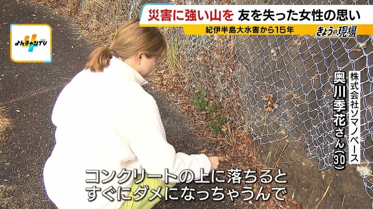 「助けに行かなきゃって思ったけど…できることがなかった」土砂崩れで友人亡くした女性の覚悟“ドングリの苗木”で災害に強い山づくり「10、20年先も諦めず広げていきたい」【紀伊半島大水害から15年】
