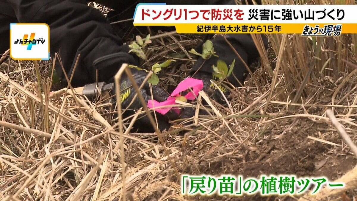 「助けに行かなきゃって思ったけど…できることがなかった」土砂崩れで友人亡くした女性の覚悟“ドングリの苗木”で災害に強い山づくり「10、20年先も諦めず広げていきたい」【紀伊半島大水害から15年】