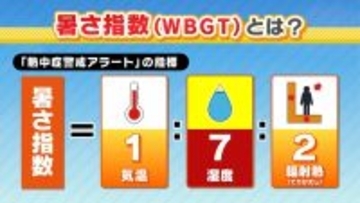 発表回数が4年で約3倍増！「熱中症警戒アラート」きょう運用開始　去年の最多発表は最早の沖縄ではなく『和歌山』　5月からの3か月予報「全国的に気温が高い」