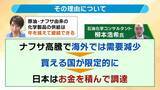 「【ナフサショック】「足りているが足りていない」の謎を解く…流通経路の“目詰まり”とは？７月ごろ『不足感解消』も『価格高騰』か【専門家解説】」の画像3
