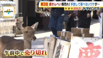 鹿せんべい“爆売れ”も手放しで喜べない事情　『買い占め』で午前中に売り切れ…製造追いつかず　ほかの餌を与えると生態系に悪影響の懸念も