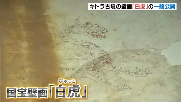 「思っていたより鮮明」奈良・キトラ古墳の壁画『白虎』　世界遺産の地・明日香村で一般公開