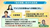 「「アメリカの目的はICCの破壊」自国への“干渉”に不満？赤根所長への制裁は「家族に及ぶ可能性」クレカ使えず国際送金も難しく？日本の姿勢に「気持ちだけでなく"意思"示して」と専門家」の画像7