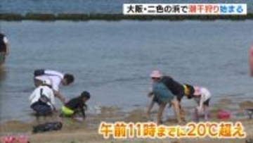 大阪・二色の浜「潮干狩り」始まる　１８日は２０℃を超える陽気　親子連れらで賑わう