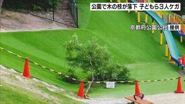 “長さ約4.5ｍ”公園で木の枝が折れて落下…4～9歳の子どもら3人重軽傷　京都・宇治市