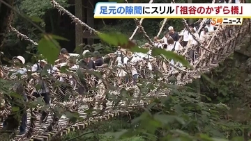 「心臓ばくばく」「怖かったけど楽しかった」水面からの高さは約14m！徳島・祖谷のかずら橋がにぎわう