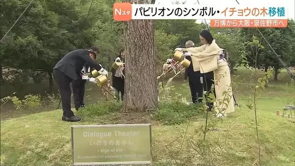 万博パビリオン「Dialogue Theater–いのちのあかし–」のシンボル『イチョウの木』が公園に移植　大阪・泉佐野市