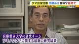 「近畿のクマ“秋の主食”はドングリではない！？『液果』というベリー類を食べていることが判明　兵庫県立大のチームが北部の個体群を調査」の画像1