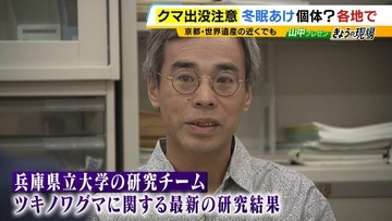 近畿のクマ“秋の主食”はドングリではない！？『液果』というベリー類を食べていることが判明　兵庫県立大のチームが北部の個体群を調査