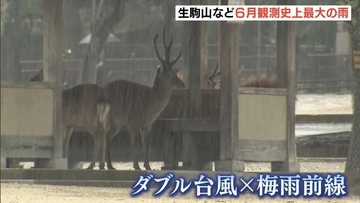 台風７号が温帯低気圧に…近畿では記録的大雨も「２４時間雨量」生駒山・京田辺などで６月観測史上最大を更新