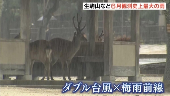 台風７号が温帯低気圧に…近畿では記録的大雨も「２４時間雨量」生駒山・京田辺などで６月観測史上最大を更新