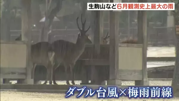台風７号が温帯低気圧に…近畿では記録的大雨も「２４時間雨量」生駒山・京田辺などで６月観測史上最大を更新