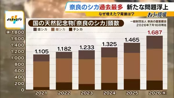 「観光客らが高栄養価のお菓子を…」奈良のシカが5年連続増加で過去最多に…理由は『鹿せんべい以外のエサ』その影響でトラブルも「昔より交通事故が増えている感覚」