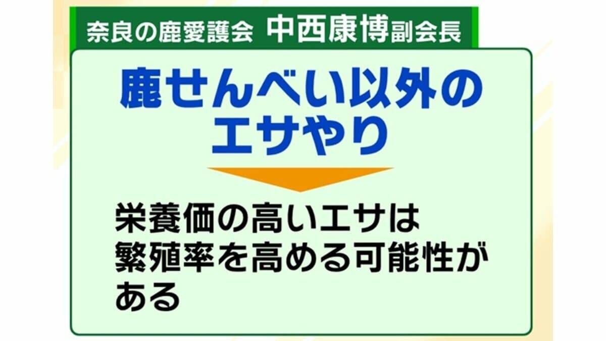 「観光客らが高栄養価のお菓子を…」奈良のシカが5年連続増加で過去最多に…理由は『鹿せんべい以外のエサ』その影響でトラブルも「昔より交通事故が増えている感覚」
