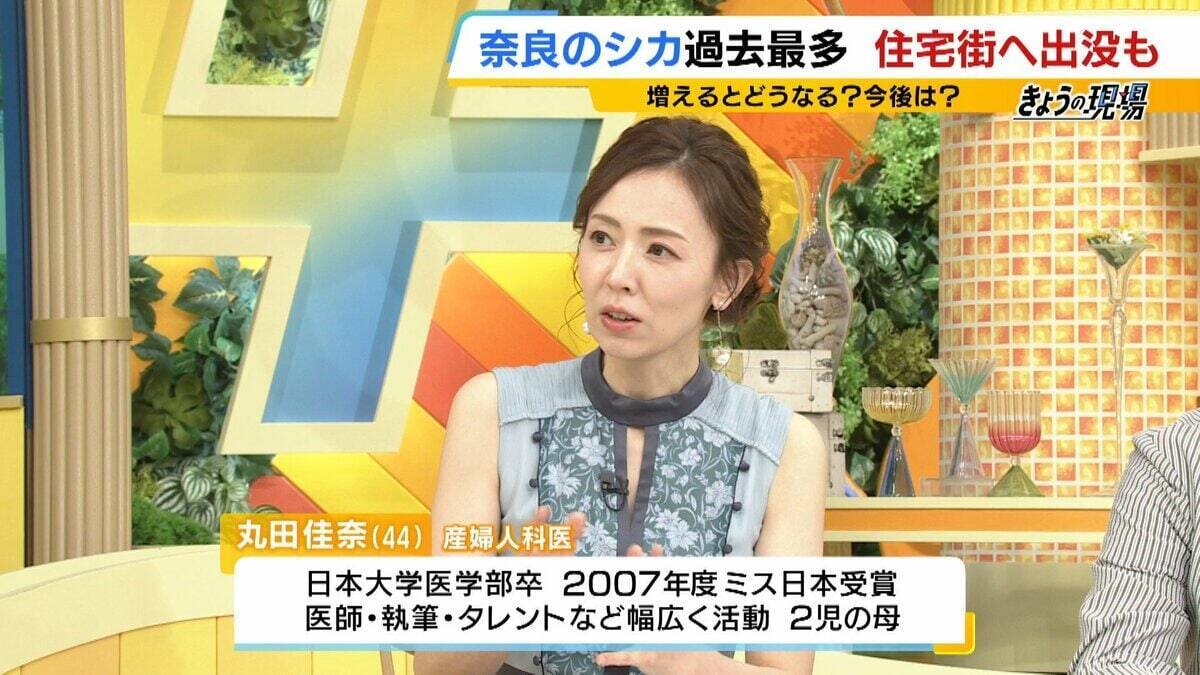 「観光客らが高栄養価のお菓子を…」奈良のシカが5年連続増加で過去最多に…理由は『鹿せんべい以外のエサ』その影響でトラブルも「昔より交通事故が増えている感覚」