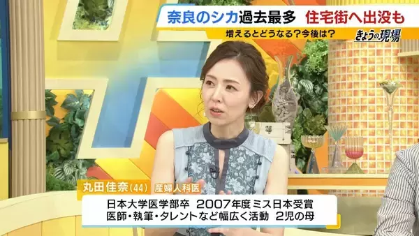 「「観光客らが高栄養価のお菓子を…」奈良のシカが5年連続増加で過去最多に…理由は『鹿せんべい以外のエサ』その影響でトラブルも「昔より交通事故が増えている感覚」」の画像