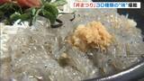 「和歌浦漁港『丼まつり』地元海産物を使った約３０種類ずらり！釜あげ＆生「わかしらす丼」が特に人気　和歌山市」の画像1