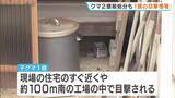 「「奥を見たら親グマが…」緊急銃猟から一夜　現場付近で子グマ1頭の目撃情報　住民に警戒呼びかけ　京都・舞鶴市」の画像1