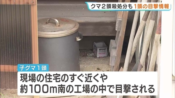 「奥を見たら親グマが…」緊急銃猟から一夜　現場付近で子グマ1頭の目撃情報　住民に警戒呼びかけ　京都・舞鶴市