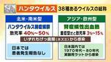 「【ハンタウイルス】致死率40%の型も…パンデミックはあり得る？専門家「医療体制次第で治療可能」一方で「ウイルス変異によって感染力が強くなる可能性」指摘　ヒト→ヒト感染の『アンデス株』クルーズ船乗客から検出」の画像3