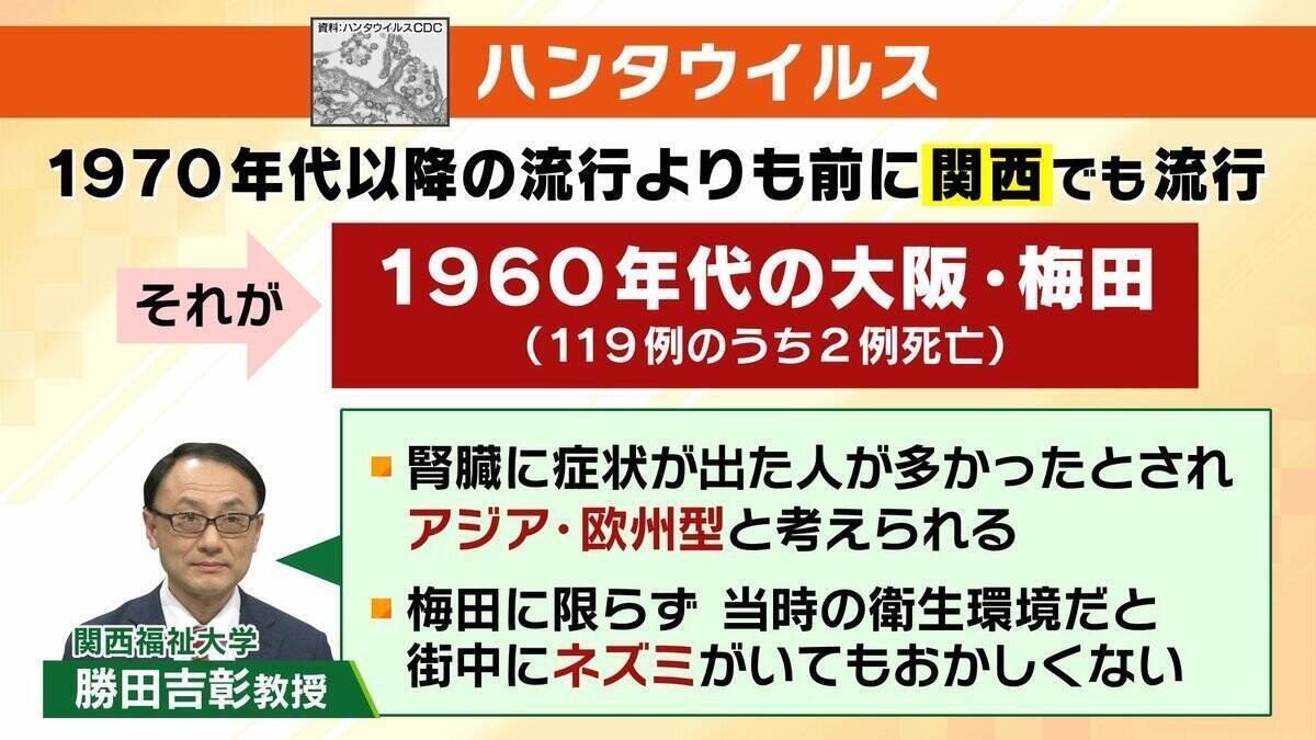 【ハンタウイルス】致死率40%の型も…パンデミックはあり得る？専門家「医療体制次第で治療可能」一方で「ウイルス変異によって感染力が強くなる可能性」指摘　ヒト→ヒト感染の『アンデス株』クルーズ船乗客から検出