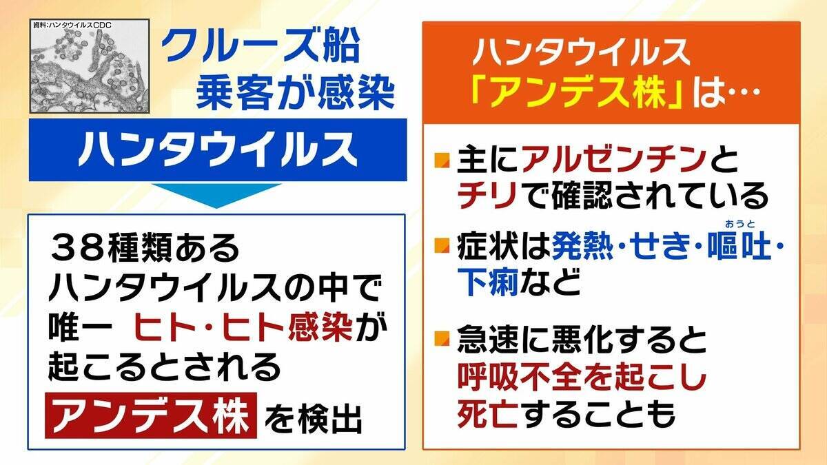 【ハンタウイルス】致死率40%の型も…パンデミックはあり得る？専門家「医療体制次第で治療可能」一方で「ウイルス変異によって感染力が強くなる可能性」指摘　ヒト→ヒト感染の『アンデス株』クルーズ船乗客から検出