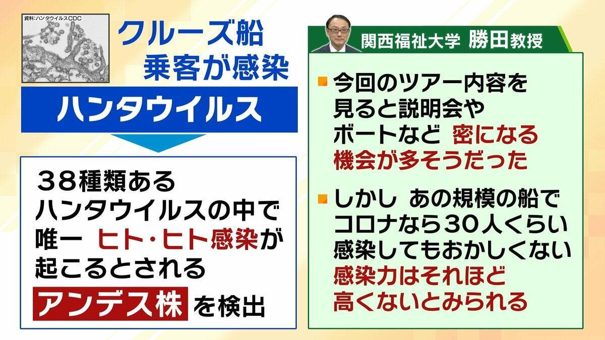 【ハンタウイルス】致死率40%の型も…パンデミックはあり得る？専門家「医療体制次第で治療可能」一方で「ウイルス変異によって感染力が強くなる可能性」指摘　ヒト→ヒト感染の『アンデス株』クルーズ船乗客から検出