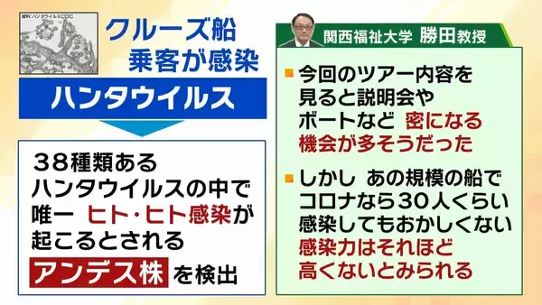 「【ハンタウイルス】致死率40%の型も…パンデミックはあり得る？専門家「医療体制次第で治療可能」一方で「ウイルス変異によって感染力が強くなる可能性」指摘　ヒト→ヒト感染の『アンデス株』クルーズ船乗客から検出」の画像