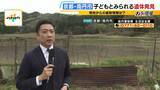 「規制線の近くには手向けられた花も…京都・南丹市の山林で子どもとみられる遺体　献花した男性「このような場所に一人でずっといたことを考えると胸が痛い」【現場付近から中継】」の画像1