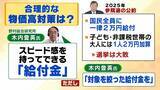 「【食料品消費税】公約通り０％？早く実現１%？第３の道も「スピード感を持ってできるのが…」減税に向けて４つの課題指摘「２年後に税率戻せる？」【専門家解説】」の画像6
